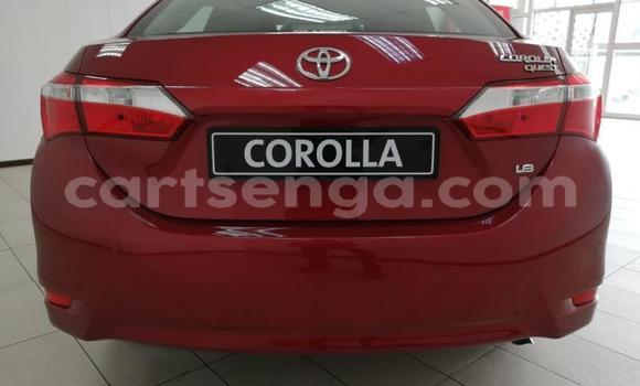 Buy Used Toyota Corolla Red Car in Mbabane in Manzini Buy Used Toyota Corolla Red Car in Mbabane in Manzini