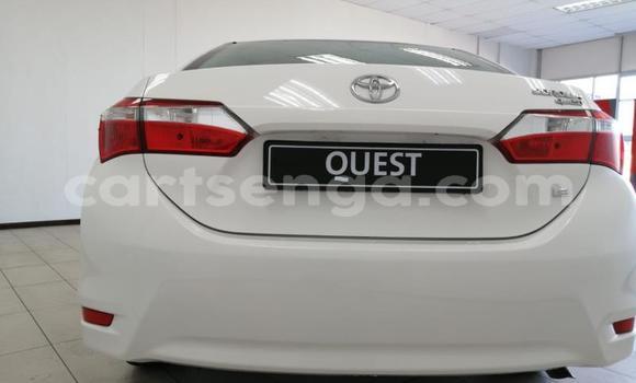 Buy Used Toyota Corolla White Car in Mbabane in Manzini