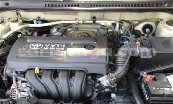 Acheter Occasion Voiture Toyota Runx Gris à Bhunya, Manzini Acheter Occasion Voiture Toyota Runx Gris à Bhunya, Manzini