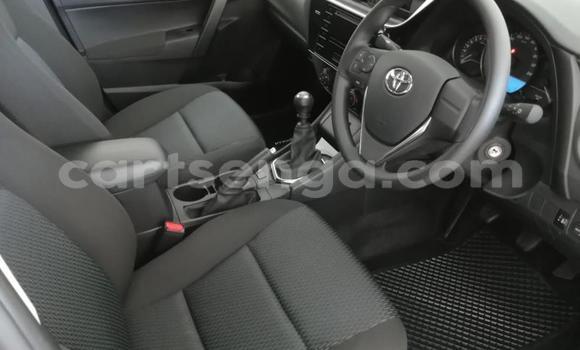 Buy Used Toyota Corolla White Car in Mbabane in Manzini Buy Used Toyota Corolla White Car in Mbabane in Manzini