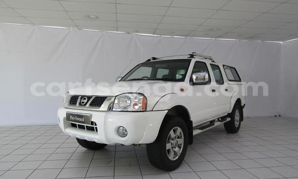 Buy Used Nissan Hardbody White Car in Manzini in Manzini Buy Used Nissan Hardbody White Car in Manzini in Manzini
