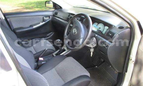 Acheter Occasion Voiture Toyota Runx Gris à Bhunya, Manzini Acheter Occasion Voiture Toyota Runx Gris à Bhunya, Manzini