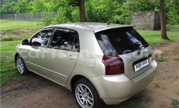 Acheter Occasion Voiture Toyota Runx Gris à Bhunya, Manzini Acheter Occasion Voiture Toyota Runx Gris à Bhunya, Manzini