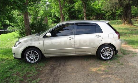 Acheter Occasion Voiture Toyota Runx Gris à Bhunya, Manzini Acheter Occasion Voiture Toyota Runx Gris à Bhunya, Manzini