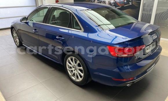 Buy Used Audi A4 Blue Car in Ezulwini in Hhohho Buy Used Audi A4 Blue Car in Ezulwini in Hhohho