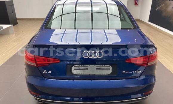 Buy Used Audi A4 Blue Car in Ezulwini in Hhohho Buy Used Audi A4 Blue Car in Ezulwini in Hhohho
