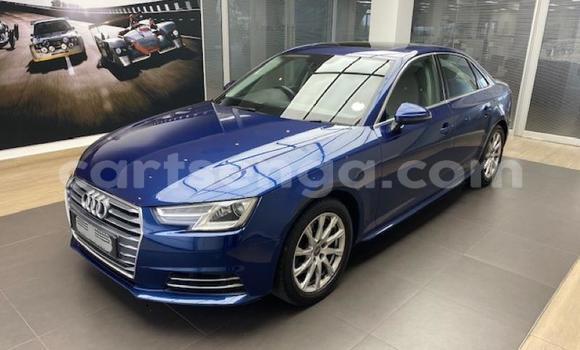 Buy Used Audi A4 Blue Car in Ezulwini in Hhohho Buy Used Audi A4 Blue Car in Ezulwini in Hhohho