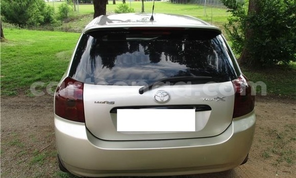 Acheter Occasion Voiture Toyota Runx Gris à Bhunya, Manzini Acheter Occasion Voiture Toyota Runx Gris à Bhunya, Manzini