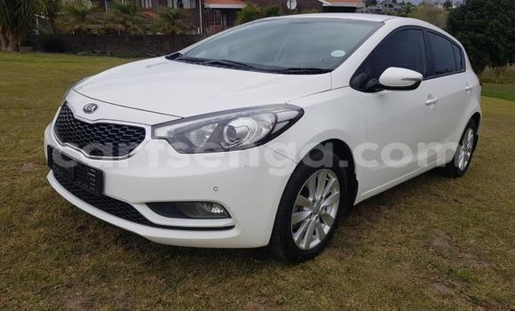 Buy Used Kia Cerato White Car in Manzini in Manzini Buy Used Kia Cerato White Car in Manzini in Manzini
