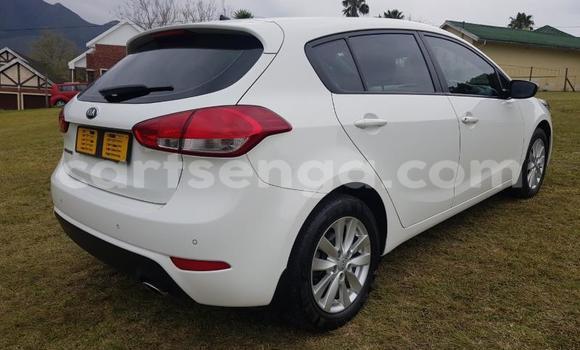Buy Used Kia Cerato White Car in Manzini in Manzini Buy Used Kia Cerato White Car in Manzini in Manzini