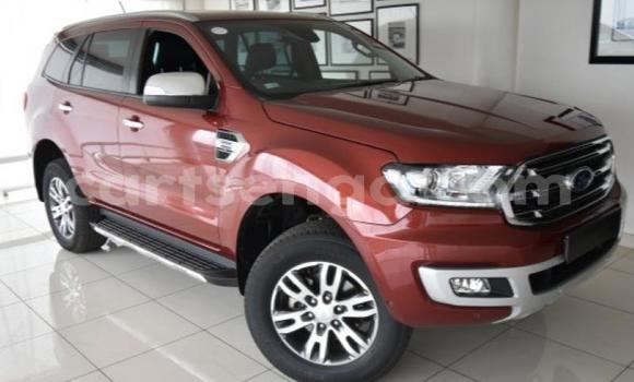 Buy Used Ford Everest White Car in Manzini in Manzini Buy Used Ford Everest White Car in Manzini in Manzini