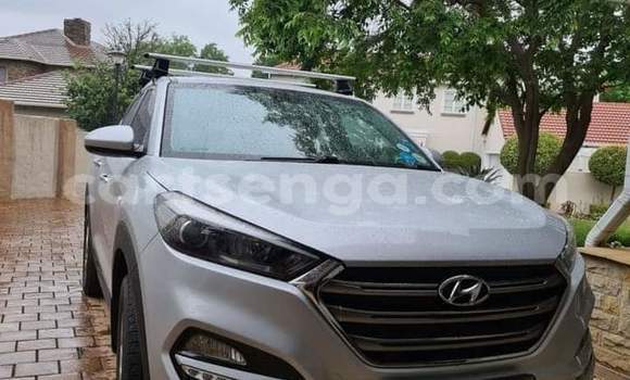 Buy Used Hyundai Tucson Silver Car in Manzini in Manzini
