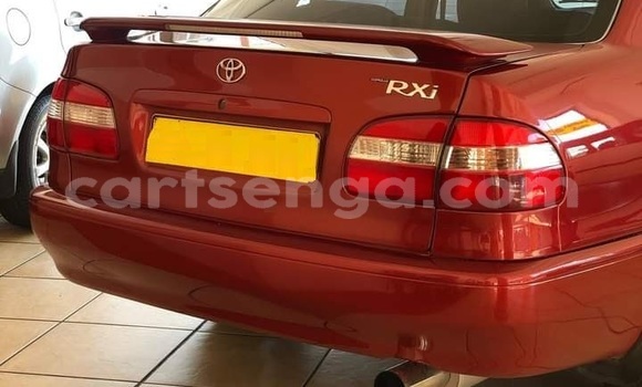 Buy Used Toyota Corolla Red Car in Mbabane in Manzini Buy Used Toyota Corolla Red Car in Mbabane in Manzini