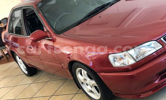 Buy Used Toyota Corolla Red Car in Mbabane in Manzini Buy Used Toyota Corolla Red Car in Mbabane in Manzini