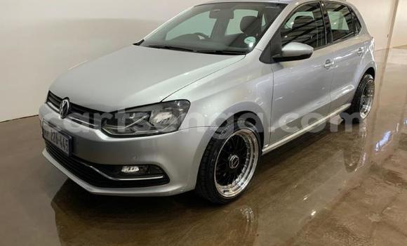 Buy Used Volkswagen Polo Silver Car in Manzini in Manzini