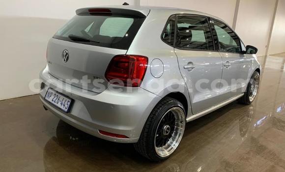 Buy Used Volkswagen Polo Silver Car in Manzini in Manzini Buy Used Volkswagen Polo Silver Car in Manzini in Manzini