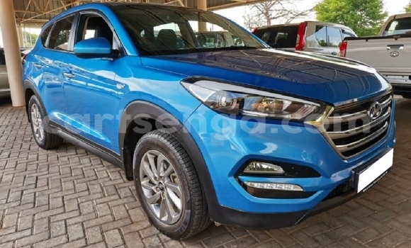 Nunua Ilio tumika Hyundai Tucson Blue Gari ndani ya Ezulwini nchini Hhohho Nunua Ilio tumika Hyundai Tucson Blue Gari ndani ya Ezulwini nchini Hhohho