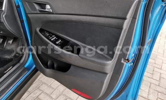 Nunua Ilio tumika Hyundai Tucson Blue Gari ndani ya Ezulwini nchini Hhohho Nunua Ilio tumika Hyundai Tucson Blue Gari ndani ya Ezulwini nchini Hhohho
