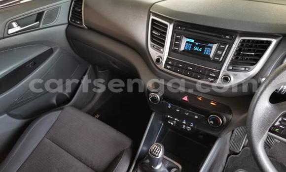 Nunua Ilio tumika Hyundai Tucson Blue Gari ndani ya Ezulwini nchini Hhohho Nunua Ilio tumika Hyundai Tucson Blue Gari ndani ya Ezulwini nchini Hhohho