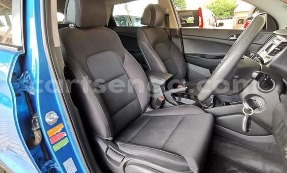 Nunua Ilio tumika Hyundai Tucson Blue Gari ndani ya Ezulwini nchini Hhohho Nunua Ilio tumika Hyundai Tucson Blue Gari ndani ya Ezulwini nchini Hhohho