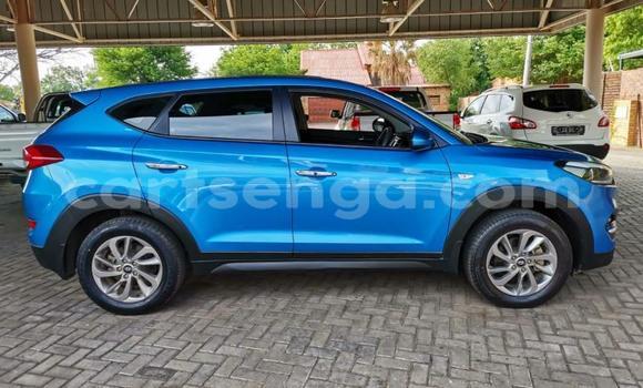 Nunua Ilio tumika Hyundai Tucson Blue Gari ndani ya Ezulwini nchini Hhohho Nunua Ilio tumika Hyundai Tucson Blue Gari ndani ya Ezulwini nchini Hhohho
