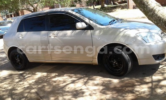 Nunua Ilio tumika Toyota Runx Brown Gari ndani ya Manzini nchini Manzini Nunua Ilio tumika Toyota Runx Brown Gari ndani ya Manzini nchini Manzini