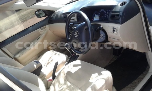 Buy Used Toyota Runx Brown Car in Manzini in Manzini Buy Used Toyota Runx Brown Car in Manzini in Manzini