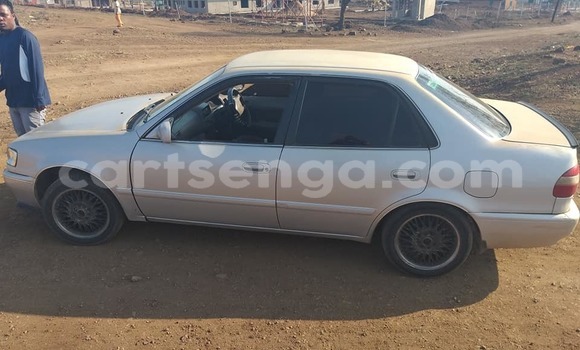 Buy Used Toyota Corolla Silver Car in Manzini in Manzini Buy Used Toyota Corolla Silver Car in Manzini in Manzini