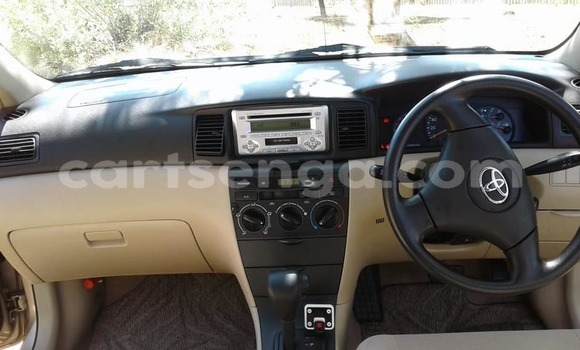 Buy Used Toyota Runx Beige Car in Manzini in Manzini Buy Used Toyota Runx Beige Car in Manzini in Manzini