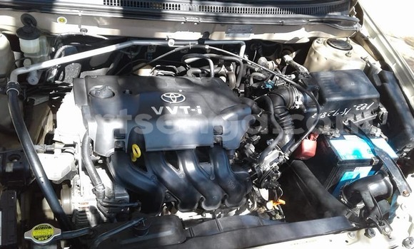 Buy Used Toyota Runx Beige Car in Manzini in Manzini Buy Used Toyota Runx Beige Car in Manzini in Manzini