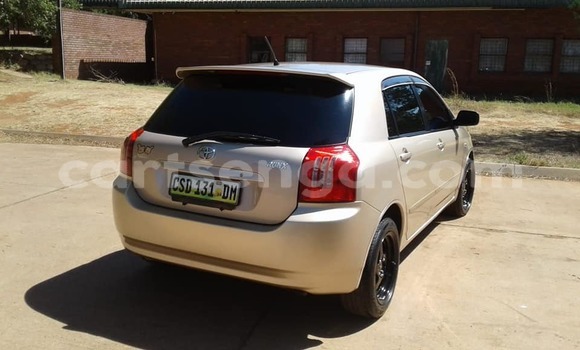 Buy Used Toyota Runx Beige Car in Manzini in Manzini Buy Used Toyota Runx Beige Car in Manzini in Manzini