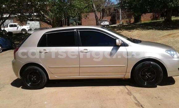 Buy Used Toyota Runx Beige Car in Manzini in Manzini Buy Used Toyota Runx Beige Car in Manzini in Manzini