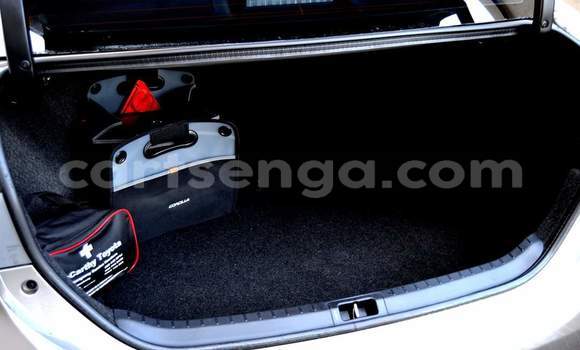 Buy Used Toyota Corolla Silver Car in Nhlangano in Shiselweni District Buy Used Toyota Corolla Silver Car in Nhlangano in Shiselweni District