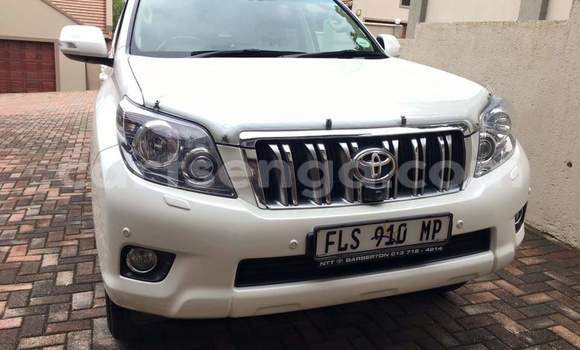 Nunua Ilio tumika Toyota Land Cruiser Prado White Gari ndani ya Ezulwini nchini Hhohho Nunua Ilio tumika Toyota Land Cruiser Prado White Gari ndani ya Ezulwini nchini Hhohho