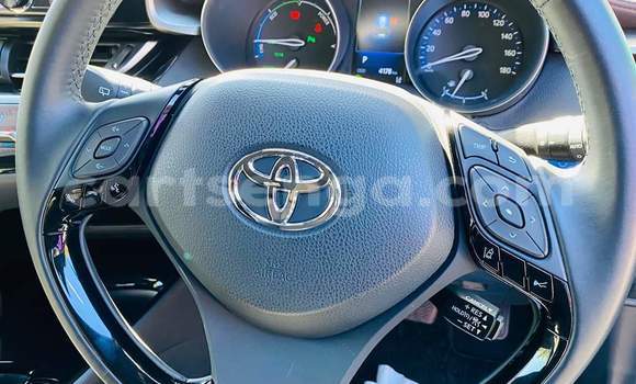 Buy Used Toyota C-HR Blue Car in Nhlangano in Shiselweni District Buy Used Toyota C-HR Blue Car in Nhlangano in Shiselweni District