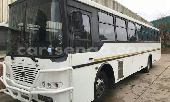 Buy Used Nissan UD White Truck in Mbabane in Manzini