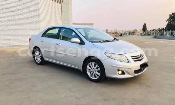 Buy Used Toyota Corolla Silver Car in Nhlangano in Shiselweni District