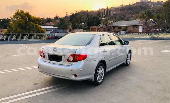 Buy Used Toyota Corolla Silver Car in Nhlangano in Shiselweni District Buy Used Toyota Corolla Silver Car in Nhlangano in Shiselweni District