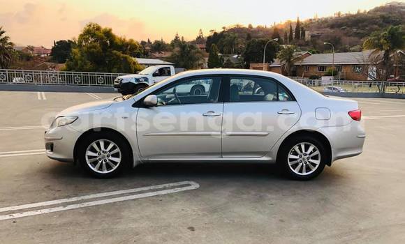 Buy Used Toyota Corolla Silver Car in Nhlangano in Shiselweni District Buy Used Toyota Corolla Silver Car in Nhlangano in Shiselweni District