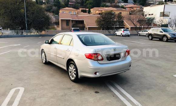 Buy Used Toyota Corolla Silver Car in Nhlangano in Shiselweni District Buy Used Toyota Corolla Silver Car in Nhlangano in Shiselweni District