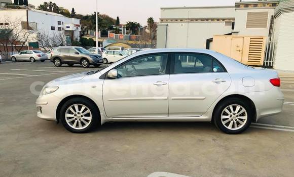 Buy Used Toyota Corolla Silver Car in Nhlangano in Shiselweni District Buy Used Toyota Corolla Silver Car in Nhlangano in Shiselweni District