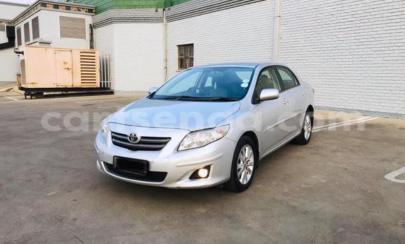 Buy Used Toyota Corolla Silver Car in Nhlangano in Shiselweni District Buy Used Toyota Corolla Silver Car in Nhlangano in Shiselweni District