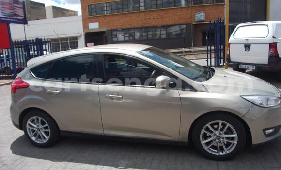 Acheter Occasion Voiture Ford Focus Autre à Ezulwini, Hhohho Acheter Occasion Voiture Ford Focus Autre à Ezulwini, Hhohho