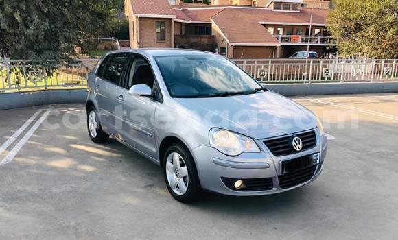 Acheter Occasion Voiture Volkswagen Polo Gris à Hlatikulu, Shiselweni District