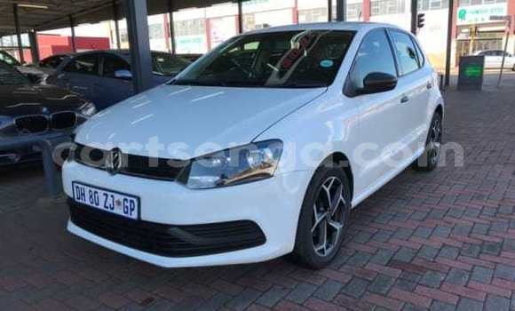 Buy Used Volkswagen Polo White Car in Nhlangano in Shiselweni District