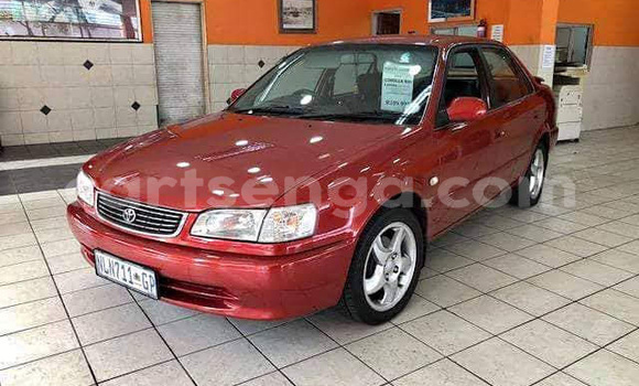 Nunua Ilio tumika Toyota Corolla Red Gari ndani ya Big Bend nchini Lubombo Nunua Ilio tumika Toyota Corolla Red Gari ndani ya Big Bend nchini Lubombo