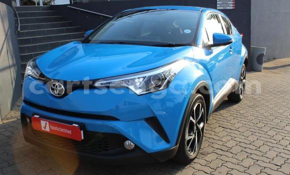 Buy Used Toyota C-HR Blue Car in Ezulwini in Hhohho Buy Used Toyota C-HR Blue Car in Ezulwini in Hhohho