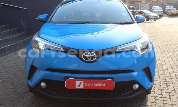 Buy Used Toyota C-HR Blue Car in Ezulwini in Hhohho Buy Used Toyota C-HR Blue Car in Ezulwini in Hhohho