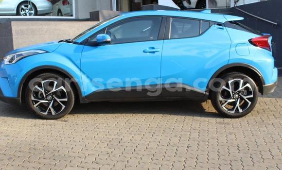 Buy Used Toyota C-HR Blue Car in Ezulwini in Hhohho Buy Used Toyota C-HR Blue Car in Ezulwini in Hhohho
