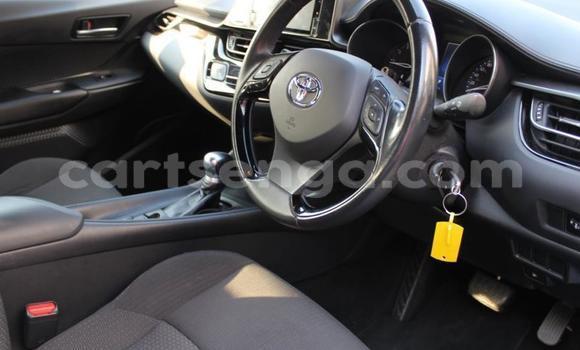 Buy Used Toyota C-HR Blue Car in Ezulwini in Hhohho Buy Used Toyota C-HR Blue Car in Ezulwini in Hhohho